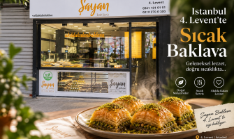 Sıcak Baklava Nedir? İstanbul’da Sıcak Baklava | Şayan Baklava